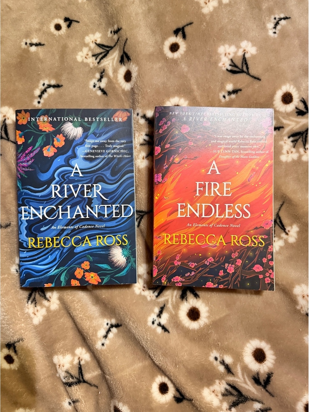 A River Enchanted Book Series